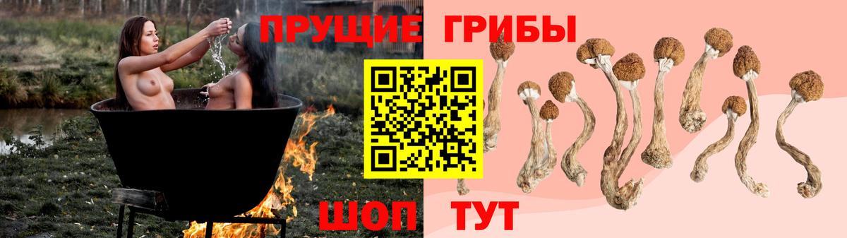 Псилоцибиновые грибы Cubensis  Галлюциногенные грибы Cubensis  хочу   Вход с VPN  Советский 
